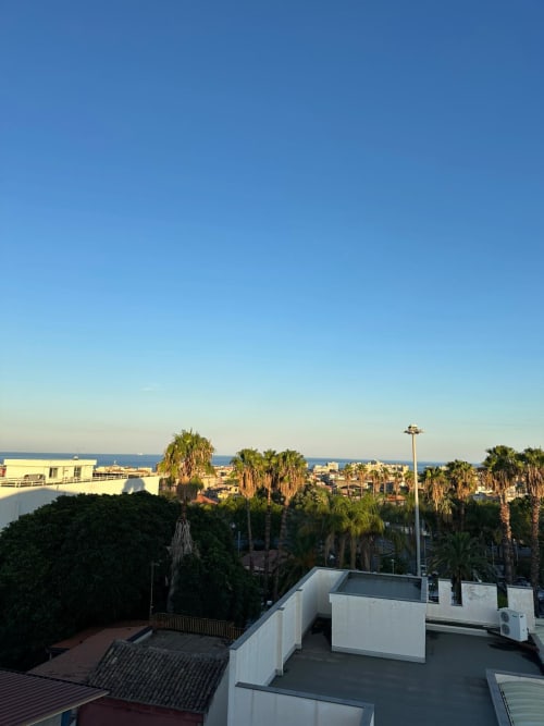 Rooftop terrace at Aparthotel Bentivoglio Catania with sea view, palm trees, and coastal cityscape