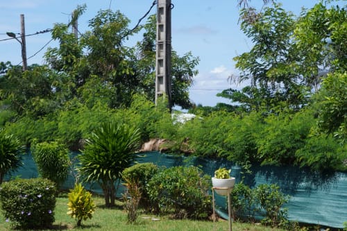 Lagon turquoise avec végétation tropicale luxuriante au Kaz Kafe BnB à Mamoudzou, Mayotte