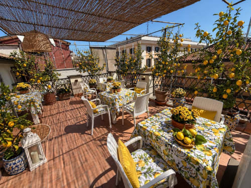 Terrazza soleggiata con alberi di limone, fiori gialli e arredamento bianco presso Spagna Lemon Suites a Roma