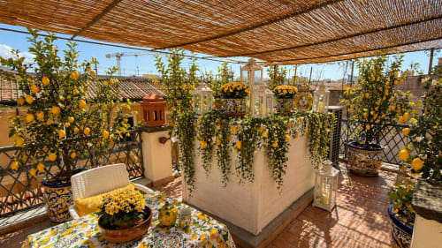 Giardino di limoni lussureggiante con terrazze esclusive presso Spagna Lemon Suites a Roma, con frutti gialli, mobili in vimini e viste sulla città