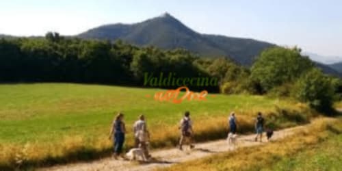 Escursione di gruppo su sentiero panoramico presso I Castagnini B&B a Montecatini Val di Cecina con montagne e verdi campi