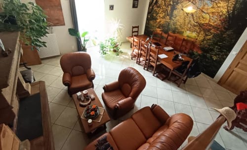 Cozy common room at Domaine de Beau Site with brown leather seating, dining area, plants, and forest mural in