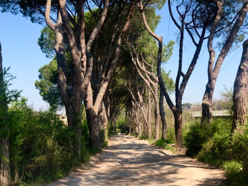 Sentiero sterrato fiancheggiato da alberi a Campagnano di Roma - struttura rustica presso Travellers Homes