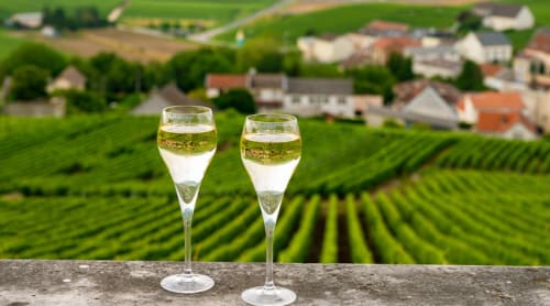 Two champagne flutes overlooking vineyards at Le domaine by A&G in Vendrest, France