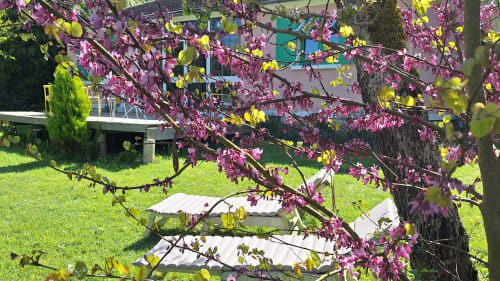 Blooming magenta flowers with spring foliage frame La Villa Malzy's garden view and cottage exterior with lawn