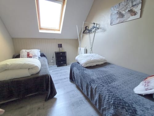 Cozy attic bedroom at Le gite des mousquetaires with two beds, skylight, and rustic charm in Lanne en Baretous