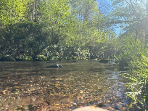 Serene river stream with lush green vegetation and trees surrounding clear shallow water at Le gite des mousquetaires, Lanne
