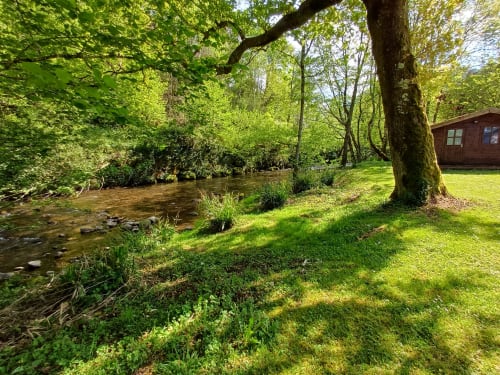 Riverside garden at Le gite des mousquetaires in Lanne en Barétous with moss-covered trees, green lawn, and rustic cabin