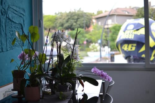 Orchidee e piante in vasi sul davanzale dell'Hotel Vienna Pesaro, con vista sulla campagna e treno sullo sfondo