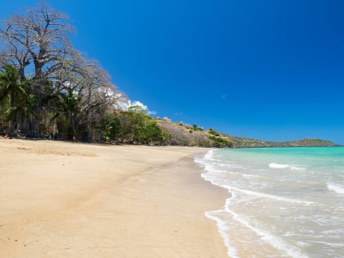 Plage de sable blanc immaculé, eaux turquoise et baobabs au Kaz Kafe à Mamoudzou, Mayotte