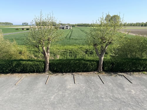 Dos árboles en flor junto a un camino rural cerca de la granja Les Vieilles Digues en Beauvoir, Francia