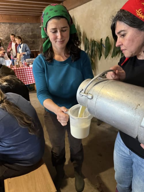 Women pouring traditional milk at Golden Mermaid Villa cultural event in Ribeirinha, Portugal