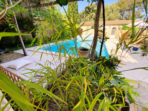 Pool view through tropical plants at Le Patio aux Oiseaux guesthouse in La Ciotat, France