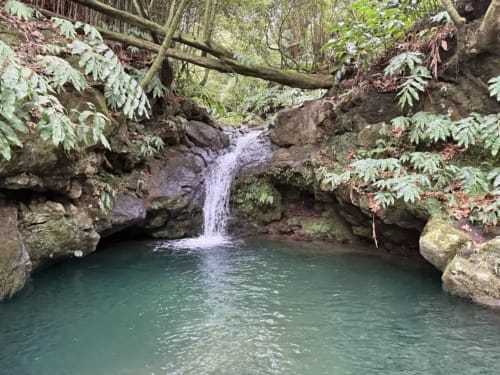 Cascata tranquila e piscina natural cercadas por vegetação exuberante na Villa Golden Mermaid, Ribeirinha