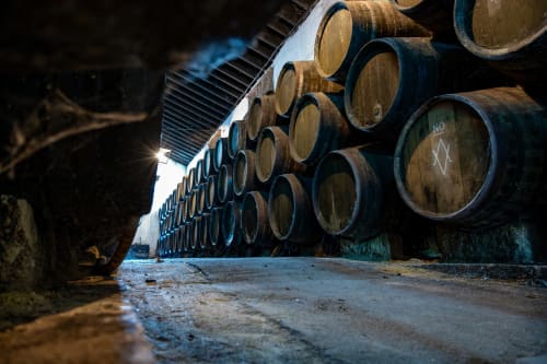 Wine barrels stacked in cellar at Casa Rural Finca El Olivar, Las Cuevas