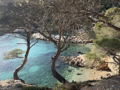 Crique méditerranéenne turquoise avec pins tordus et plage rocheuse au Patio aux Oiseaux, La Ciotat