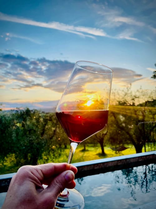 Hand holding red wine glass at sunset overlooking vineyard at Agriturismo CasaViva, Tuscany