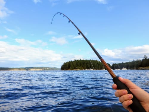 Fishing rod held over blue lake water near Casa Sibarita in Rafelguaraf, Spain, with forested shoreline and sailboats