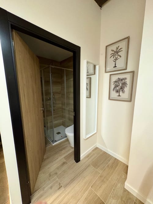 Entrada moderna del baño en Be Gonfre Flats Valencia con cabina de ducha de vidrio, inodoro y obra de arte tropical sobre crema