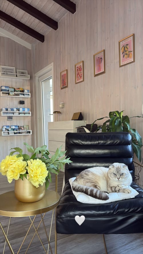 Accogliente camera B&B a La Dolce Casa a Cremia con gatto su poltrona nera, fiori gialli e travi in legno
