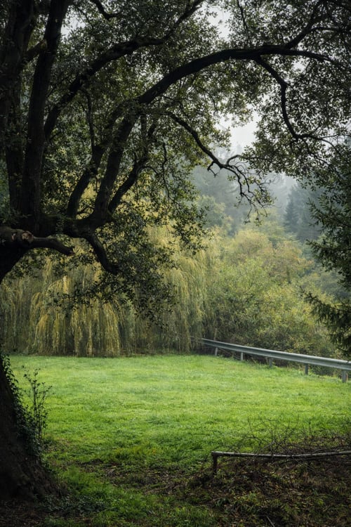 Exuberante pradera verde con robles nudosos y bosque distante en Matzuri Agroturismo, Mutriku