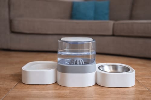 Conjunto de tigelas de água para animais de estimação em Apartamentos Gelimar, Porto Rico com três tigelas brancas no piso de madeira
