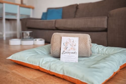 Acolhida pet-friendly no apartamento Gelimar com cama acolchoada, manta enrolada e cartão de bienvenida em Puerto Rico