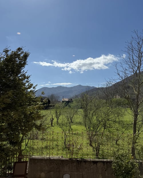 Vista della valle verde e delle montagne dal giardino di B&B Luna Verde, paesaggio primaverile con alberi spogli e frondosi