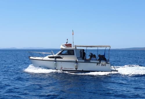 Barca da pesca bianca PT 1571 in servizio di escursioni a Stintino, Italia con mare e cielo azzurri
