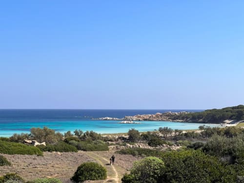 Baia turchese a Pescaturismo Lia a Stintino con spiaggia sabbiosa, promontori rocciosi e vegetazione mediterranea