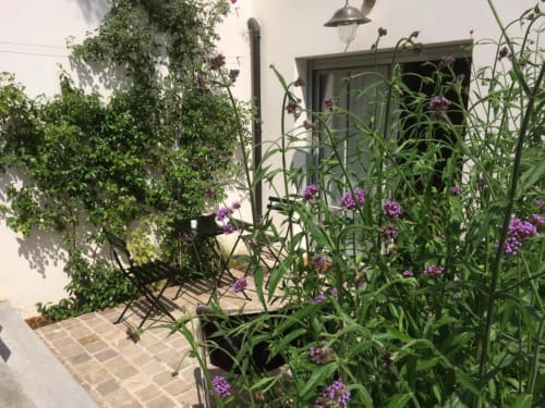 Patio privé du B&B Denis & Virginie à Versailles avec fleurs violettes et lierre grimpant