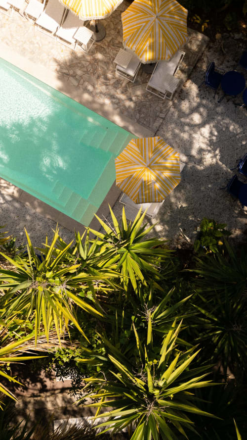 Aerial view of Hôtel Le Sud's pool deck with yellow umbrellas, loungers, and tropical plants in Juan Les Pins