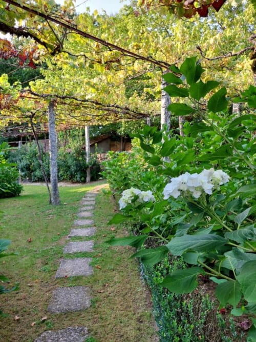 Caminho exuberante no jardim da Quinta da Coutada com flores brancas, pérgula e tradicional quinta portuguesa em Arcos de Valdevez