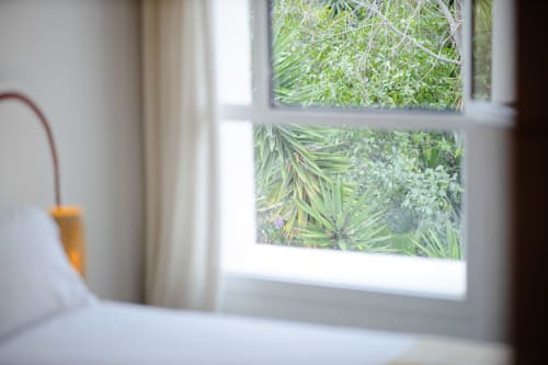 Vue sur le jardin depuis la fenêtre d'une chambre de l'Hôtel Le Sud à Juan les Pins, avec végétation tropicale et frondes de palmiers