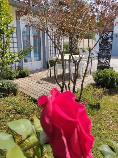 Vibrant red rose blooming in La Pause Landaise's garden with wooden terrace and poolside lounge area visible