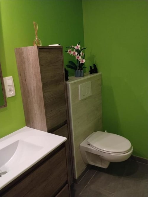 Modern bathroom with lime green walls, wall-mounted toilet, sink, and decorative pink orchid plant at La Pause Landaise B&B