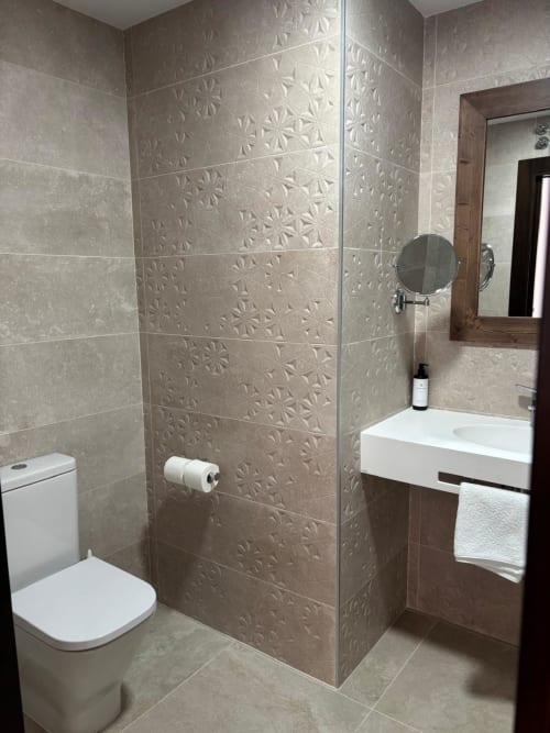 Modern bathroom at Hotel Mulhacén Trevélez with textured tile shower enclosure, white sink vanity, and toilet
