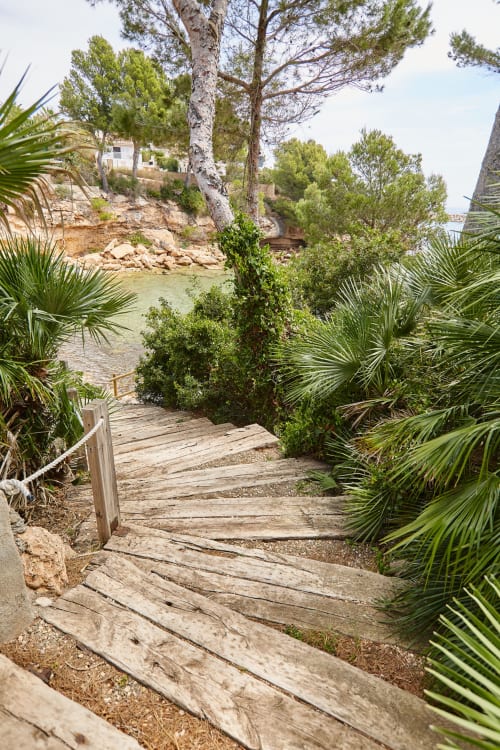 Pasarela de madera entre la vegetación mediterránea hacia aguas turquesas en Experiencias Encant, Calafat, España