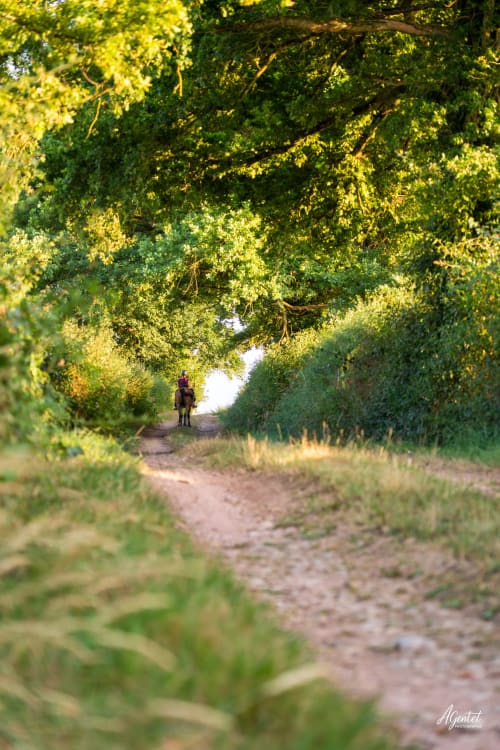 Cycliste traverse un chemin rural bordé d'arbres près du Domaine Sur-Valot à Beaubery, France