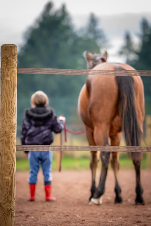 Enfant en bottes rouges tenant un cheval à la barrière, Domaine Sur-Valot, campagne de Beaubery