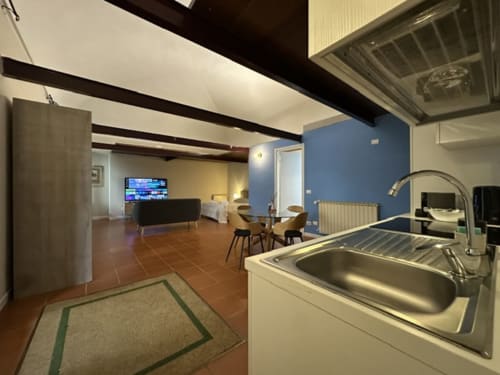 Modern loft apartment kitchen and living area in Vercelli with stainless steel sink, blue accent walls, and open floor plan