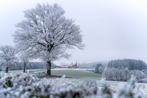 Paysage hivernal givré au Domaine Sur-Valot avec arbres chargés de neige et vues sur la campagne, Beaubery