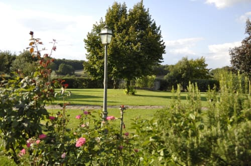 Rosa Rosen und Garten beim Agriturismo Buriano in Lubriano, Italien mit Laterne und grünen Feldern