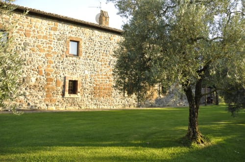 Historisches Steingebäude mit gepflegtem Rasen und Olivenbaum im Agriturismo Buriano in Lubriano, Italien
