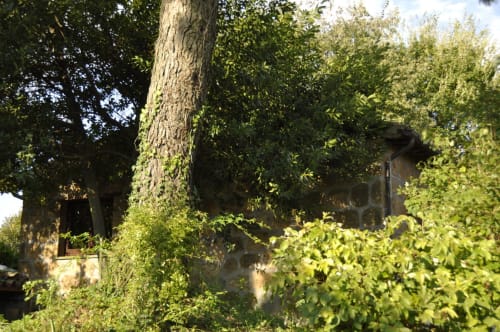 Rustikales Steingebäude des Agriturismo Buriano in Lubriano, Italien, umgeben von üppigem grünem Efeu und Bäumen