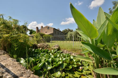 Agriturismo Buriano: Garten mit üppigem Gemüse und rustikalem Steinbauernhaus in Lubriano, Italien