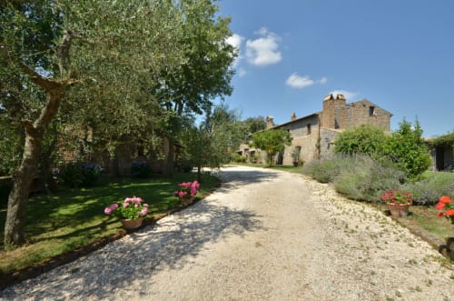 Kiesweg gesäumt von Olivenbäumen und Blütenpflanzen, der zum Steinbauernhaus des Agriturismo Buriano in Lubriano führt