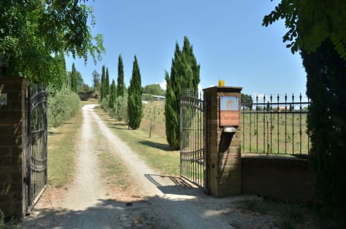 Zypressengesäumte Auffahrt zum Agriturismo Buriano Landhotel in Lubriano, Italien