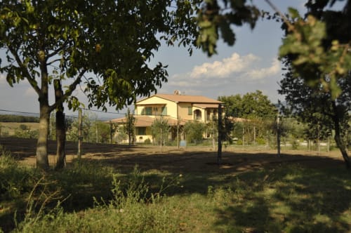 Agriturismo Buriano countryside villa in Lubriano, Italy, surrounded by vineyard posts and mature trees
