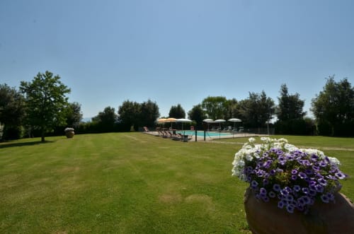 Agriturismo Buriano pool area in Lubriano with manicured lawn, purple flowers, and tree-lined horizon under clear sky
